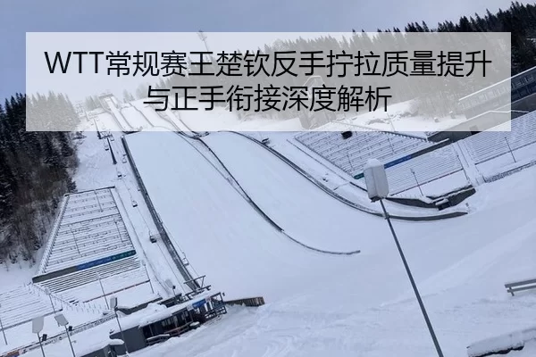 chang-gui-sai-wang-chu-qin-fan-shou-ning-la-zhi-liang-ti-sheng-yu-zheng-shou-xian-jie-shen-du-jie-xi-3-619.jpg