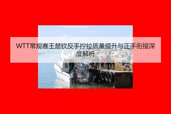 WTT常规赛王楚钦反手拧拉质量提升与正手衔接深度解析